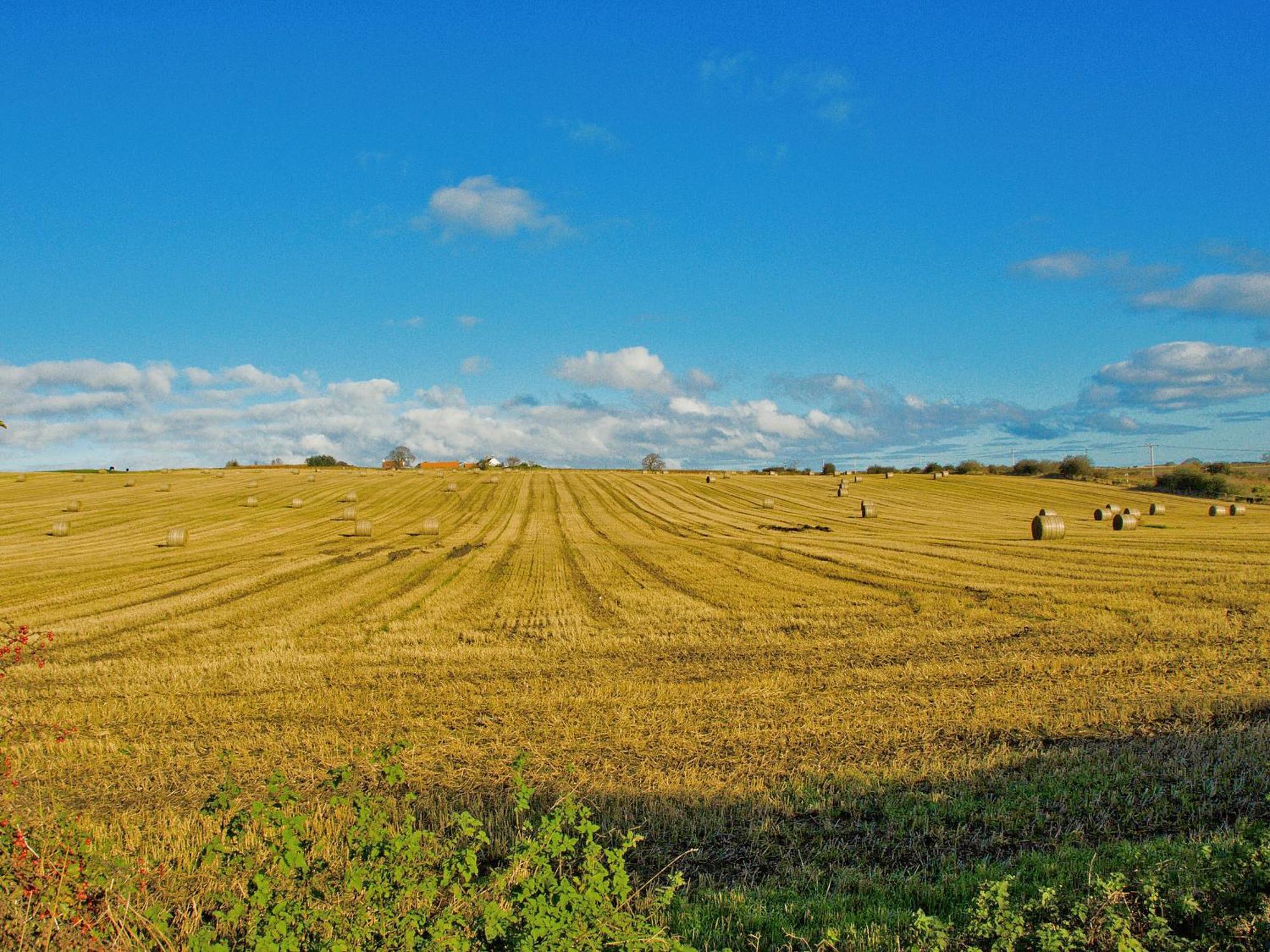 Murton Holiday home